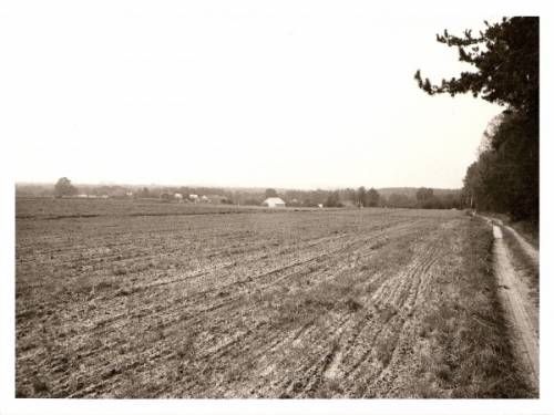 Panorama północnej części Otoli od strony wschodniej, z drogi terenowej do Brzezin.
