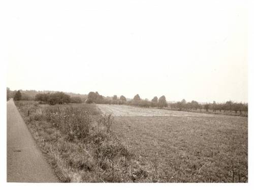 Chlina - Zamiechówka. Panorama zachodniej części wsi. Ujęcie od strony północno - wschodniej.