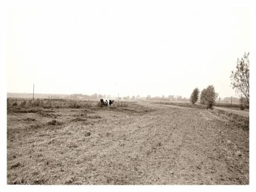 Panorama zachodniej części Żarnowca. Ujęcie z drogi do Chliny, od strony południowej.