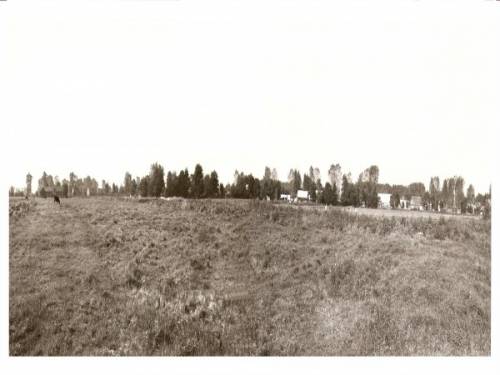 Panoram środkowej części Żarnowca z polnej drogi po wschodniej stronie kościoła. Z lewej strony zespół zieleni cmentarnej.