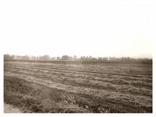 Panorama wsi od strony północnej. Widoczna zachodnia część Woli Libertowskiej.